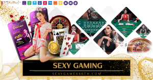 sexygame666th.com-Sexy gaming